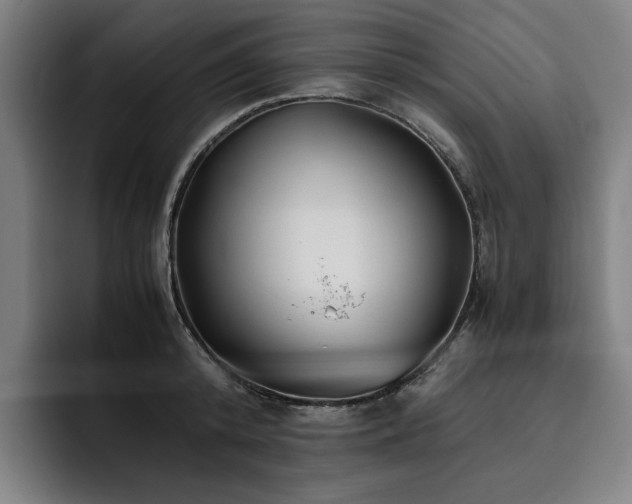 X0000093510800200710121530