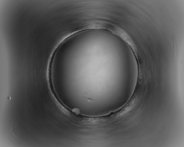 X0000093510803200710121530