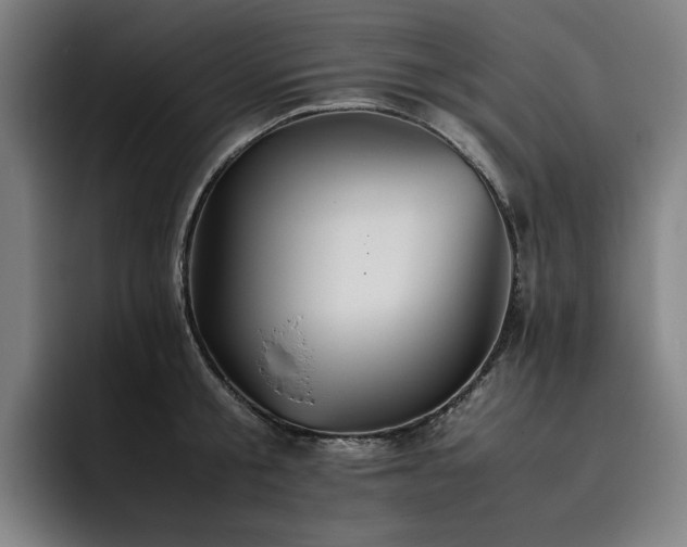 X0000093510805200710121530