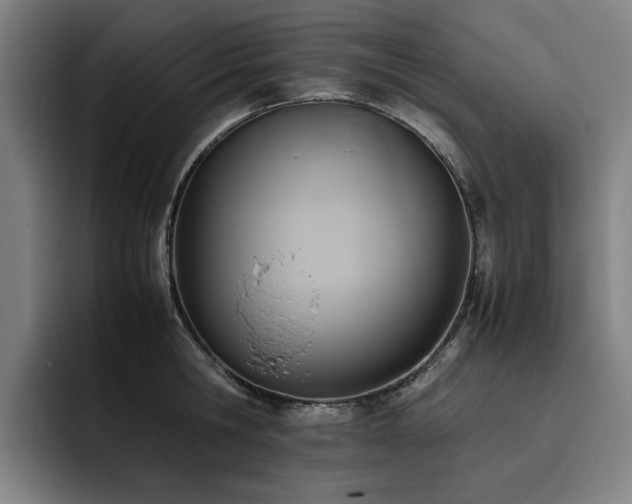 X0000093510806200710121530