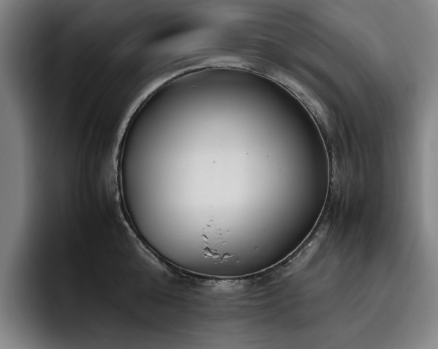 X0000093510808200710121530