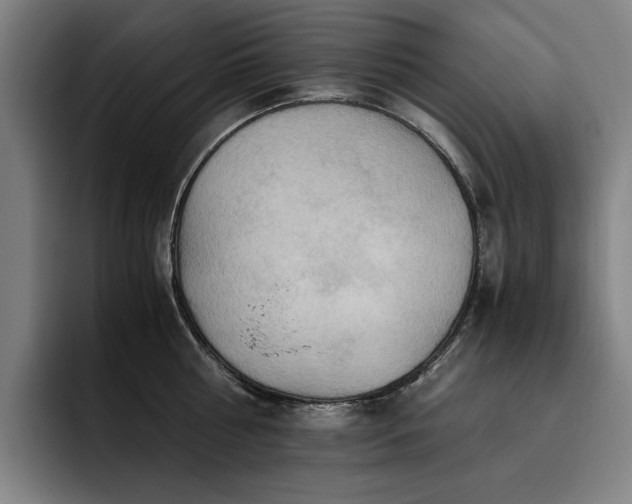 X0000093510810200710121530