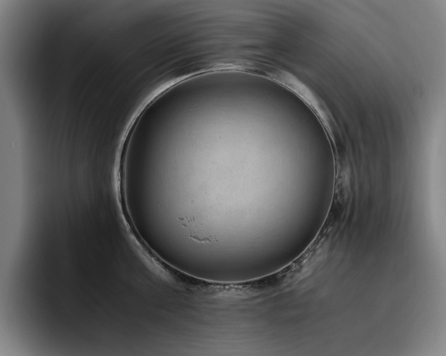 X0000093510811200710121530
