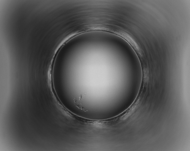 X0000093510814200710121530