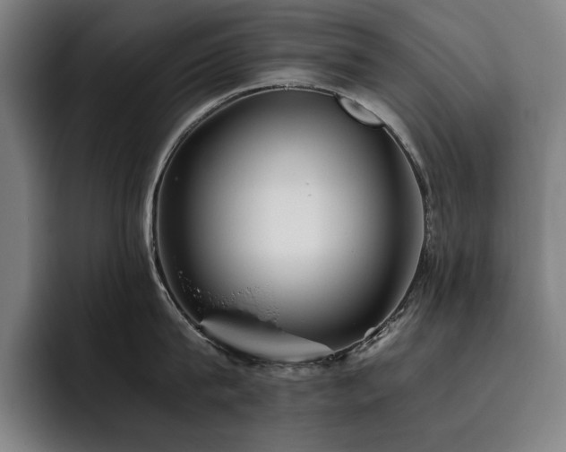 X0000093510815200710121530