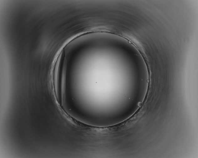 X0000093510816200710121530