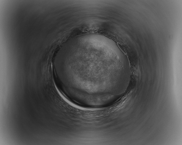 X0000093510818200710121530