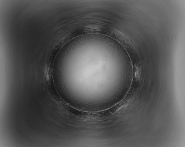 X0000093510819200710121530