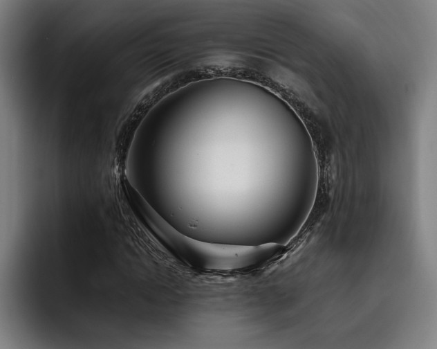 X0000093510822200710121530
