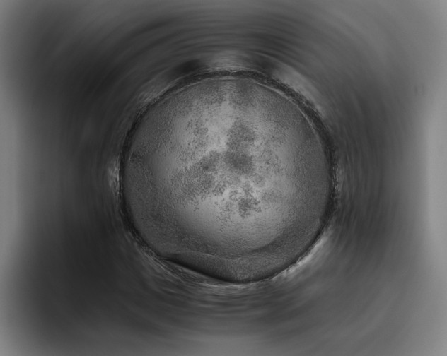 X0000093510825200710121530