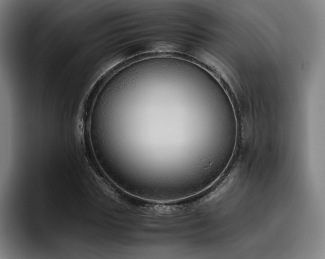 X0000093510827200710121530