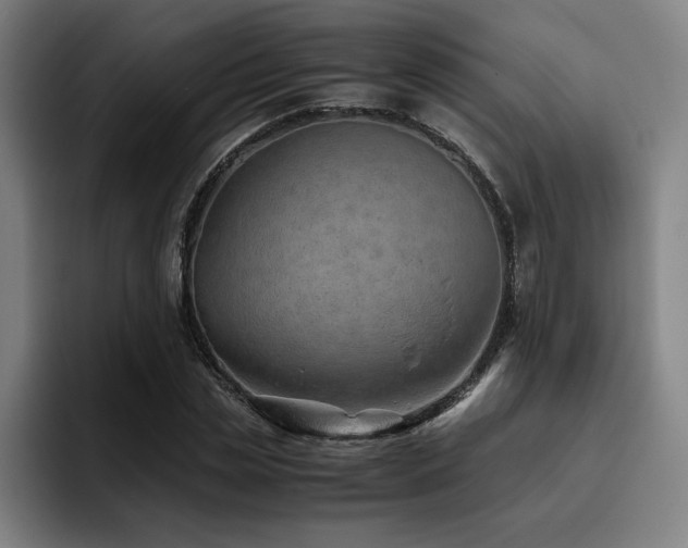 X0000093510829200710121530