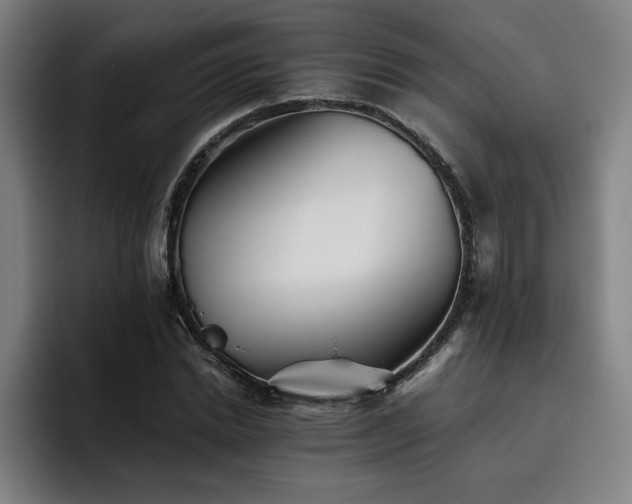 X0000093510830200710121530