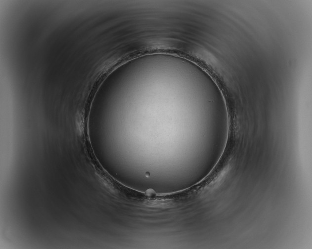X0000093510833200710121530