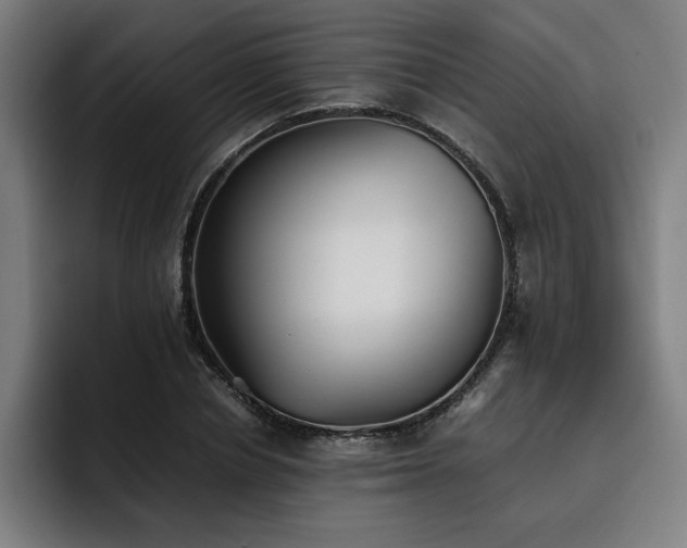 X0000093510834200710121530