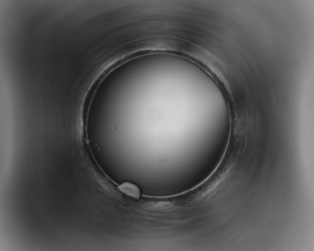 X0000093510837200710121530