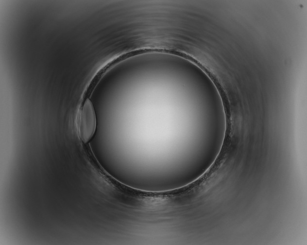 X0000093510838200710121530