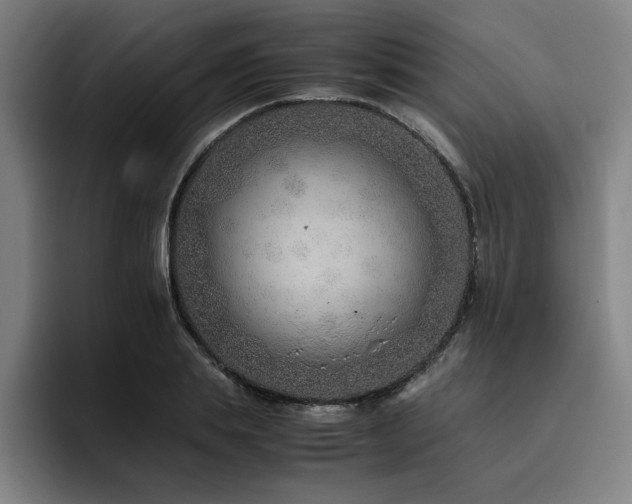 X0000093510839200710121530