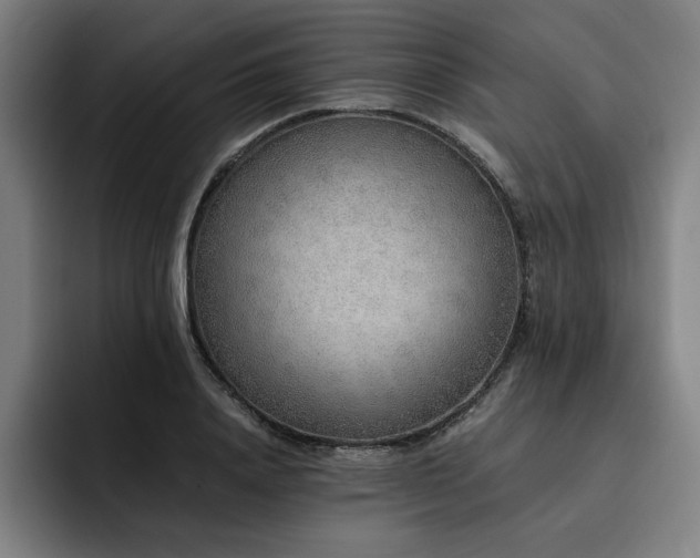 X0000093510840200710121530