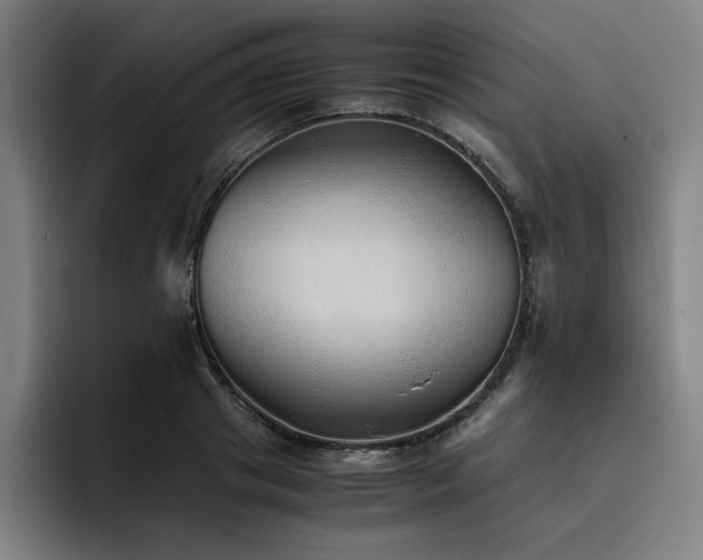 X0000093510841200710121530