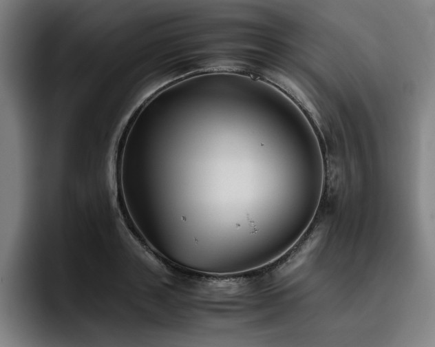 X0000093510843200710121530