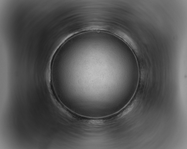 X0000093510844200710121530