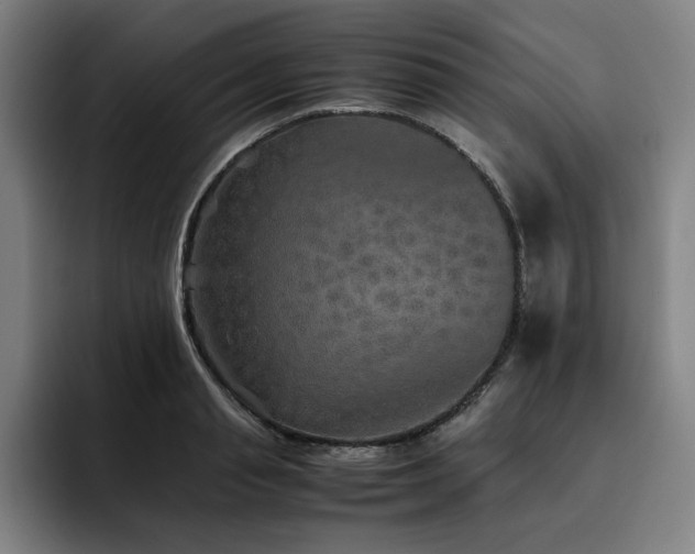 X0000093510845200710121530