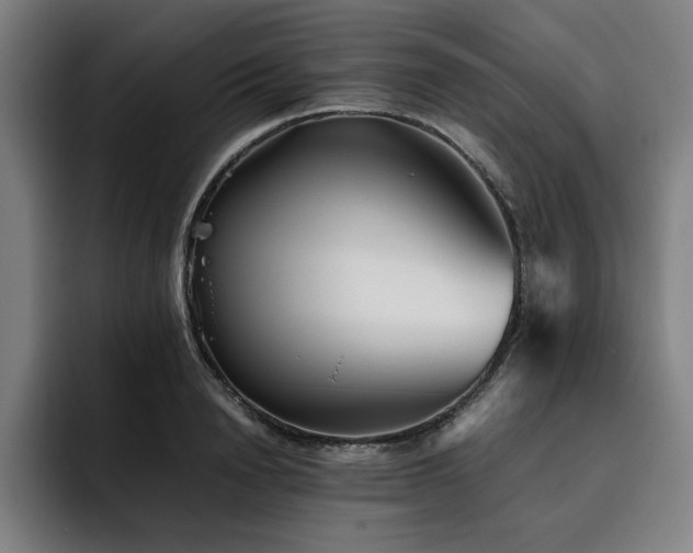 X0000093510846200710121530