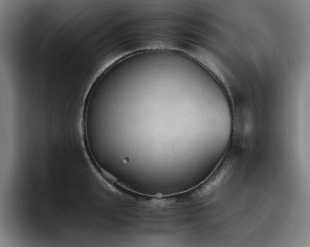 X0000093510847200710121530