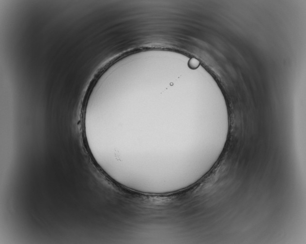 X0000093510848200710121530