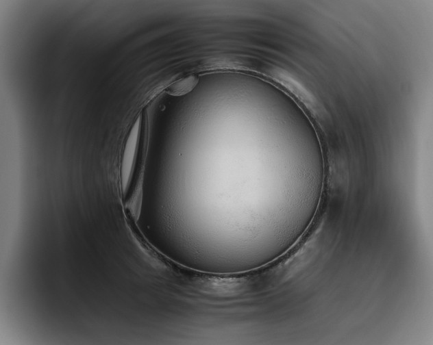 X0000093510849200710121530