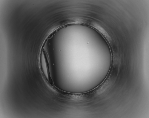 X0000093510850200710121530