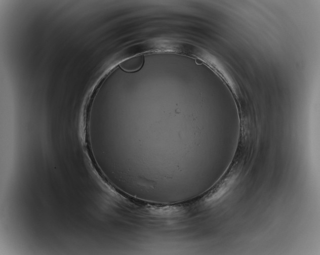 X0000093510851200710121530