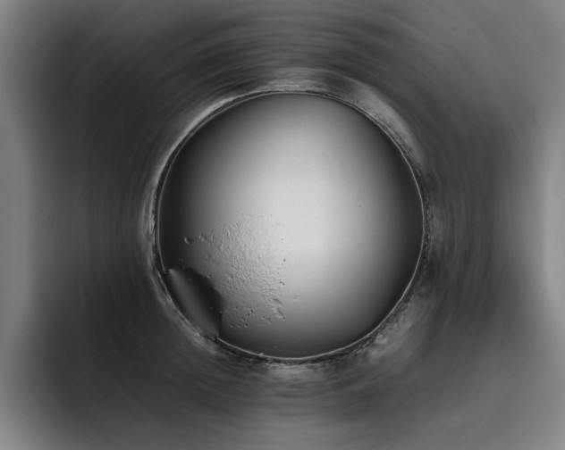 X0000093510852200710121530