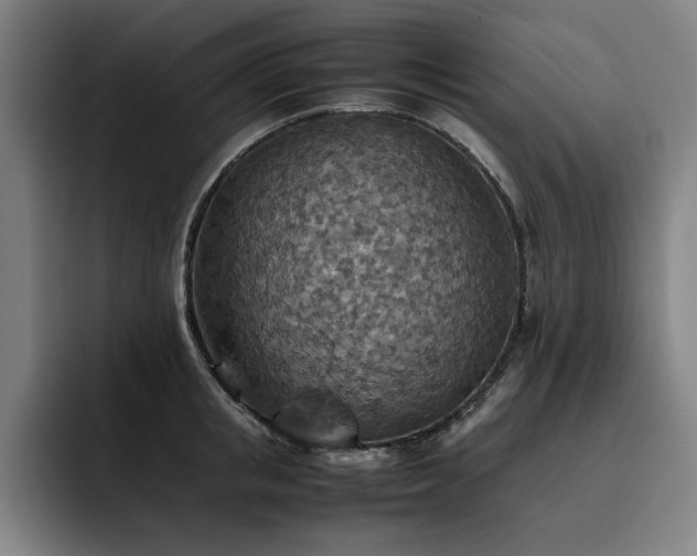 X0000093510853200710121530