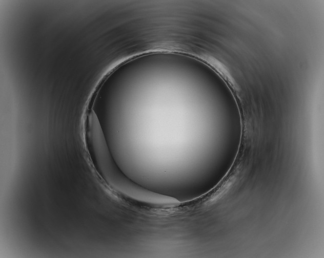 X0000093510854200710121530