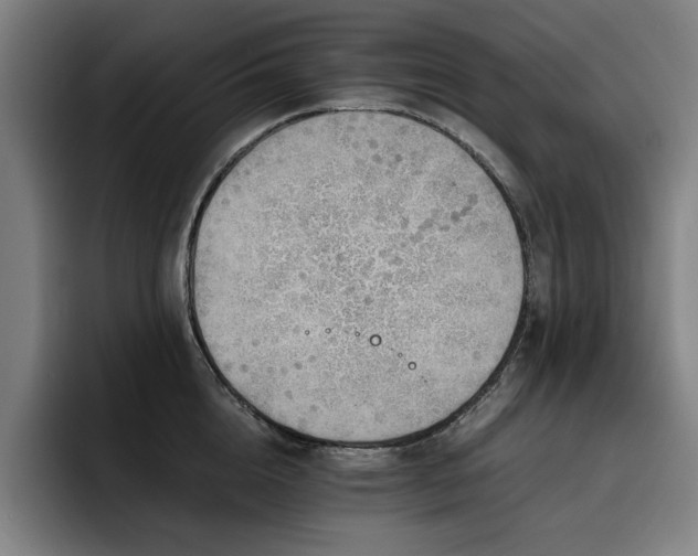 X0000093510856200710121530