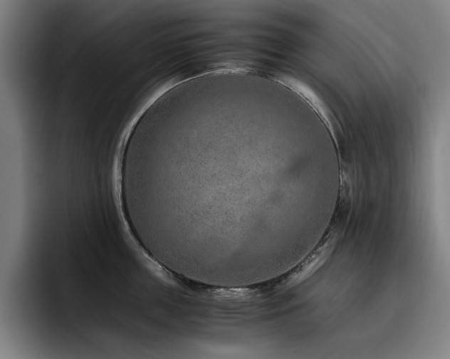 X0000093510859200710121530