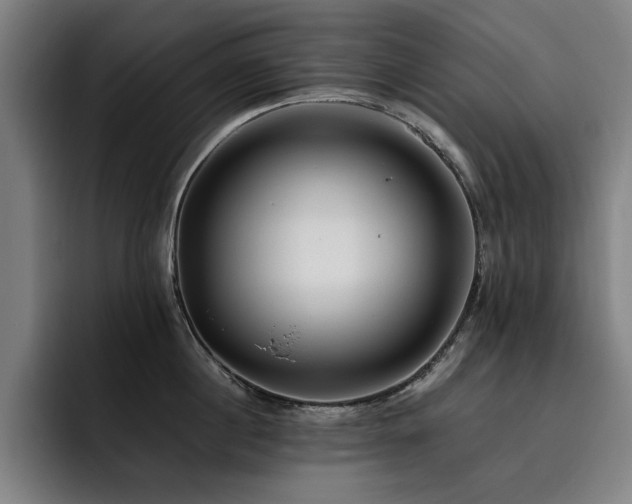 X0000093510860200710121530