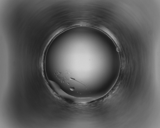 X0000093510861200710121530