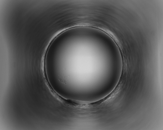 X0000093510862200710121530