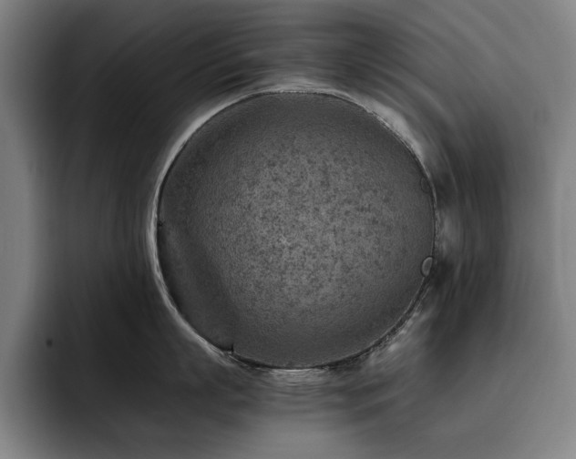 X0000093510863200710121530