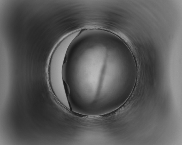 X0000093510864200710121530