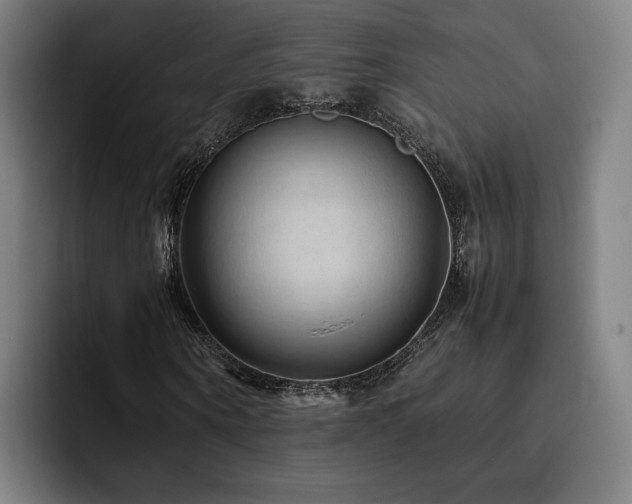 X0000093510866200710121530