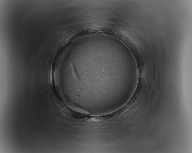 X0000093510868200710121530