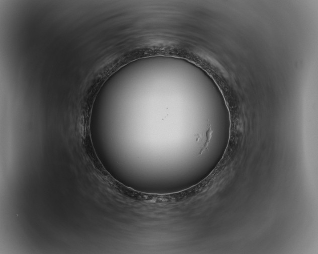 X0000093510869200710121530