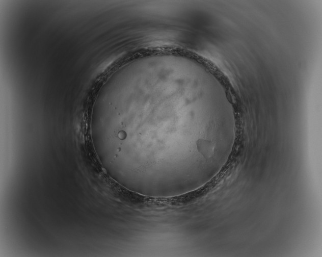 X0000093510871200710121530