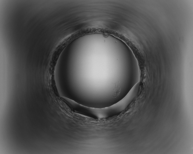 X0000093510872200710121530