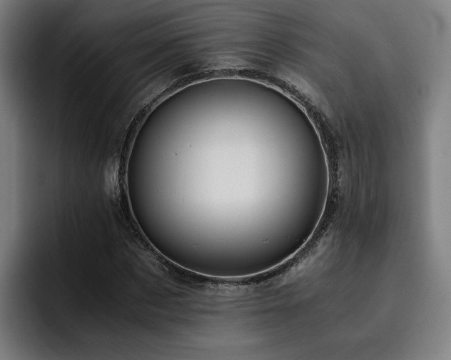 X0000093510873200710121530