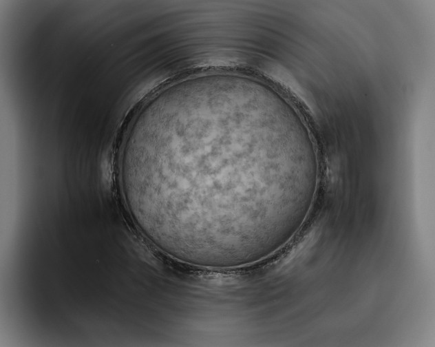 X0000093510874200710121530